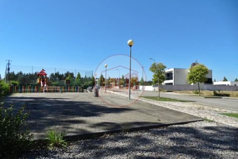 Terra a Branca, Aveiro, Branca - € 47.500 | Ref: PAR_12 - foto 6