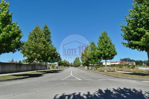 Terra a Branca, Aveiro, Branca - € 47.500 | Ref: PAR_12 - foto 8