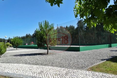 Terra a Branca, Aveiro, Branca - € 47.500 | Ref: PAR_12 - foto 10
