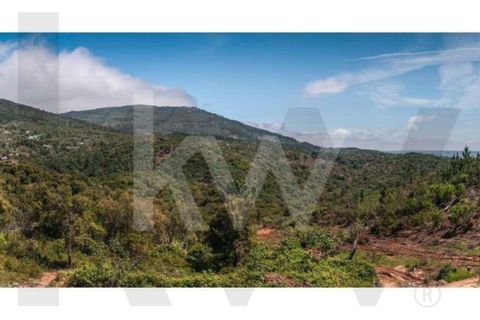 Helårsgrund i Monchique, Faro, Monchique - € 6.000.000 | Ref: KWPT-014722 - foto 2