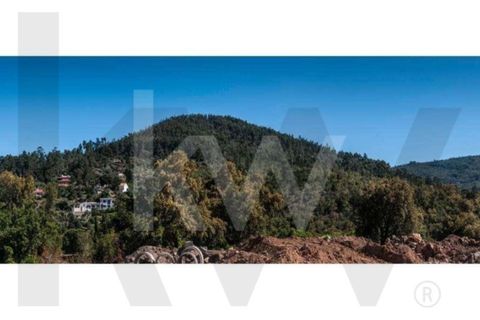Helårsgrund i Monchique, Faro, Monchique - € 6.000.000 | Ref: KWPT-014722 - foto 5