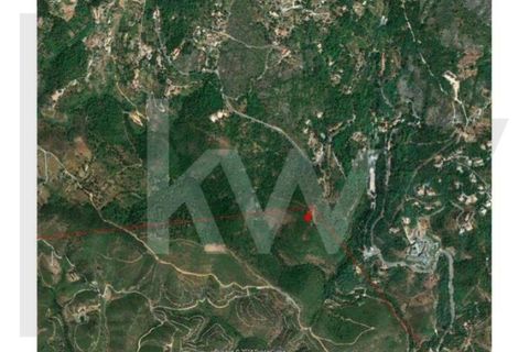 Helårsgrund i Monchique, Faro, Monchique - € 6.000.000 | Ref: KWPT-014722 - foto 6