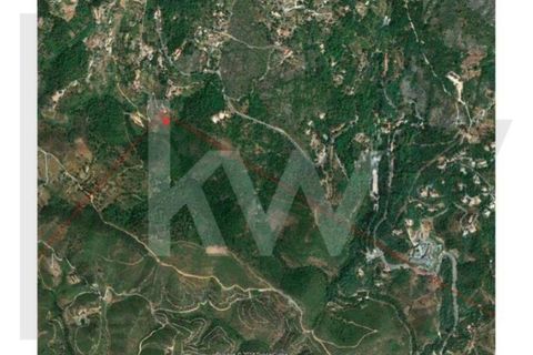 Helårsgrund i Monchique, Faro, Monchique - € 6.000.000 | Ref: KWPT-014722 - foto 8
