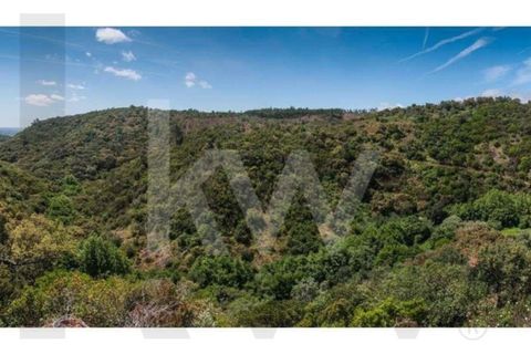 Helårsgrund i Monchique, Faro, Monchique - € 6.000.000 | Ref: KWPT-014722 - foto 9