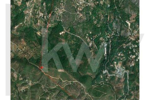 Helårsgrund i Monchique, Faro, Monchique - € 6.000.000 | Ref: KWPT-014722 - foto 11