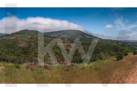 Helårsgrund i Monchique, Faro, Monchique - € 6.000.000 | Ref: KWPT-014722 - foto 12