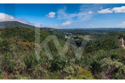 Helårsgrund i Monchique, Faro, Monchique - € 6.000.000 | Ref: KWPT-014722 - foto 14