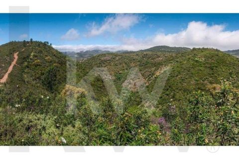 Helårsgrund i Monchique, Faro, Monchique - € 6.000.000 | Ref: KWPT-014722 - foto 16