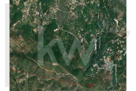 Helårsgrund i Monchique, Faro, Monchique - € 6.000.000 | Ref: KWPT-014722 - foto 17