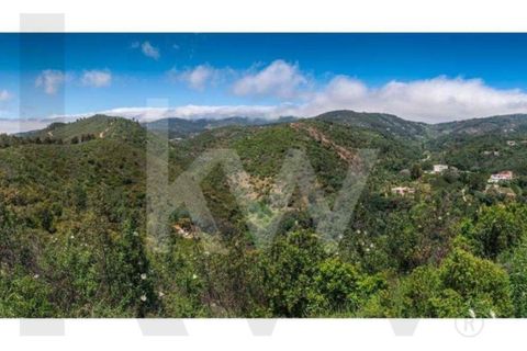 Helårsgrund i Monchique, Faro, Monchique - € 6.000.000 | Ref: KWPT-014722 - foto 18