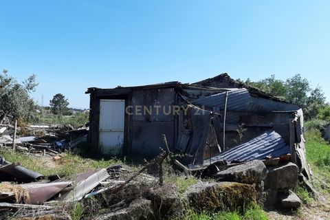 Helårsgrund i Nelas, Viseu, Nelas - € 60.000 | Ref: C0203-01961 - foto 4
