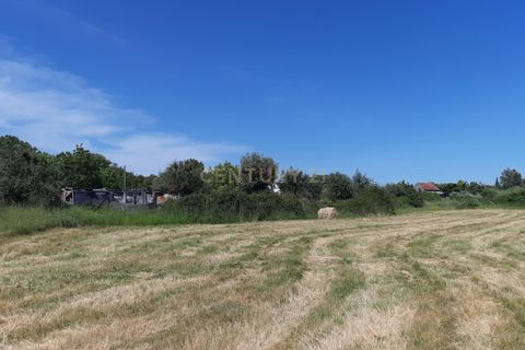 Helårsgrund i Nelas, Viseu, Nelas - € 60.000 | Ref: C0203-01961 - foto 5