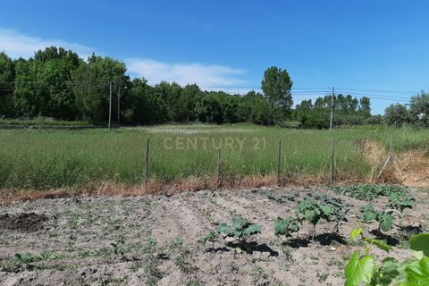 Helårsgrund i Nelas, Viseu, Nelas - € 60.000 | Ref: C0203-01961 - foto 6