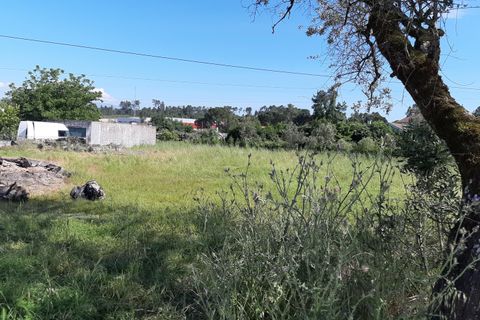 Terra a Nelas, Viseu, Nelas - € 60.000 | Ref: C0203-01960 - foto 2