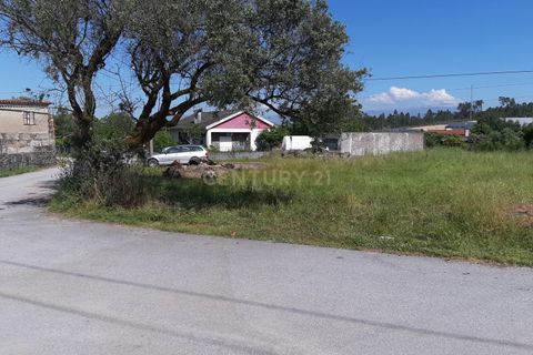 Terra a Nelas, Viseu, Nelas - € 60.000 | Ref: C0203-01960 - foto 3