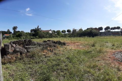 Terra a Nelas, Viseu, Nelas - € 60.000 | Ref: C0203-01960 - foto 5