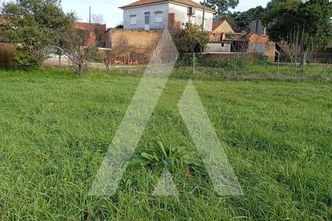 Villa a Oia, Aveiro, Oia - € 375.000 | Ref: 1051269/25 OB - foto 41