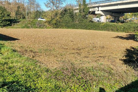 Terra a Spoltore, Pescara, Spoltore - € 260.000 | Ref: 187 - foto 4