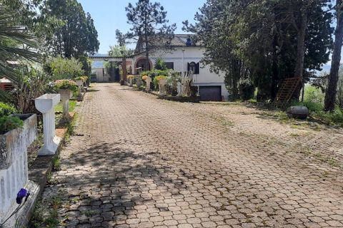 Villa a Orte, Viterbo, Orte - € 165.000 | Ref: 36621001-76 - foto 3
