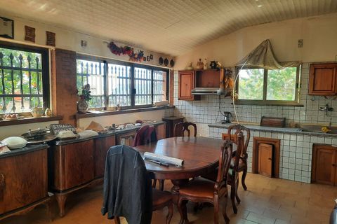 Villa a Orte, Viterbo, Orte - € 165.000 | Ref: 36621001-76 - foto 19