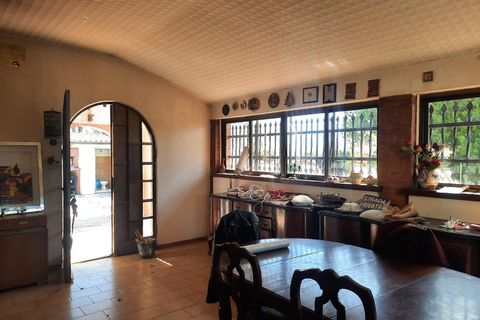 Villa a Orte, Viterbo, Orte - € 165.000 | Ref: 36621001-76 - foto 21