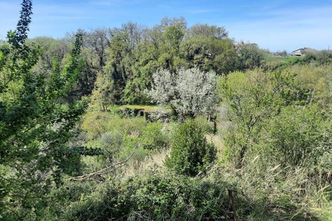 Villa a Orte, Viterbo, Orte - € 165.000 | Ref: 36621001-76 - foto 39