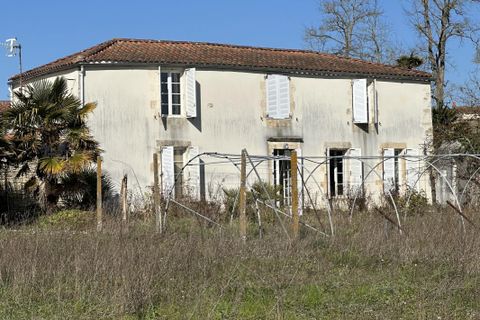 Villa en Angles, Vendee, Angles - € 585.300 | Ref: 2813 - photo 7