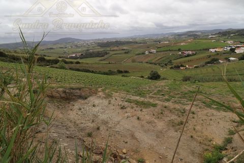Helårsgrund i Alenquer, Lisbon, Alenquer - € 88.900 | Ref: TER_373 - foto 4