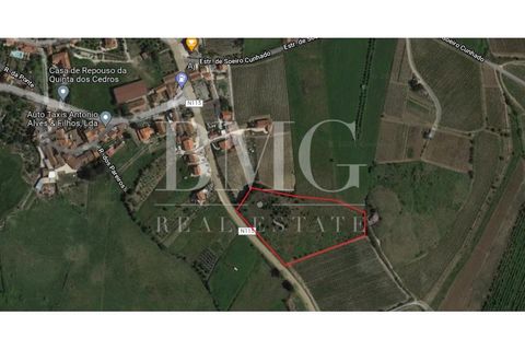 Helårsgrund i Alenquer, Lisbon, Alenquer - € 28.000 | Ref: BMG 847/21 - foto 2