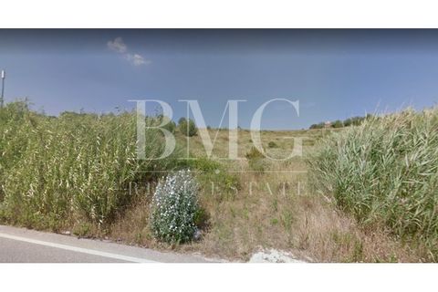 Helårsgrund i Alenquer, Lisbon, Alenquer - € 28.000 | Ref: BMG 847/21 - foto 3