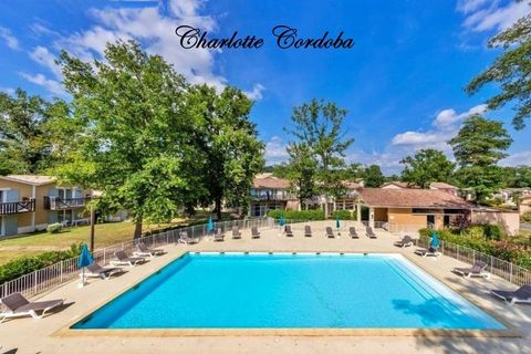 Leilighet i Barbaste, Lot-et-Garonne, Barbaste - € 49 900 | Ref: 340939176735 - foto 18