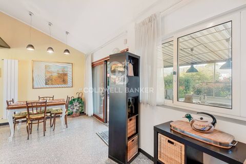 Villa i Ameglia, La Spezia, Ameglia - € 410.000 | Ref: CBI129-2906-130469 - foto 12