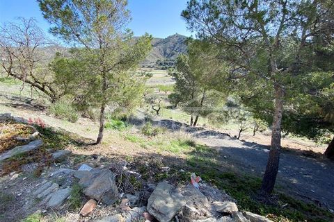 Landejendom i Taberno, Almeria, Taberno - € 85.000 | Ref: VH2548 - foto 2
