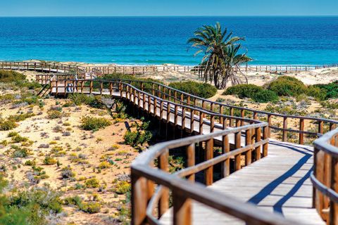 Leilighet i Elche, Alicante, Elche - € 315 000 | Ref: AP0449 - foto 26
