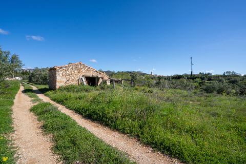 Terra a Rossell, Castellon, Rossell - € 33.000 | Ref: 208 - foto 12