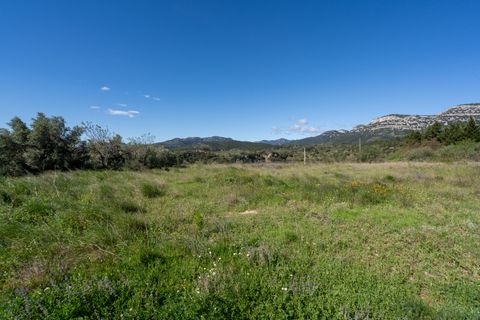 Terra a Rossell, Castellon, Rossell - € 33.000 | Ref: 208 - foto 8