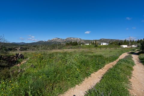 Terra a Rossell, Castellon, Rossell - € 33.000 | Ref: 208 - foto 7