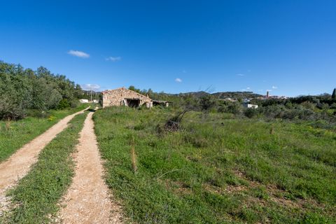 Terra a Rossell, Castellon, Rossell - € 33.000 | Ref: 208 - foto 6