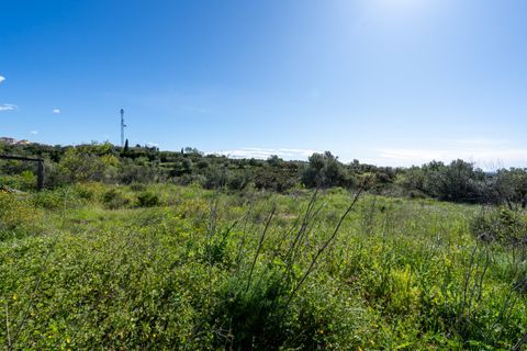 Terra a Rossell, Castellon, Rossell - € 33.000 | Ref: 208 - foto 10