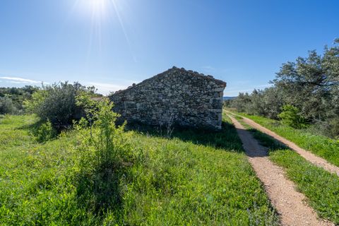 Terra a Rossell, Castellon, Rossell - € 33.000 | Ref: 208 - foto 2