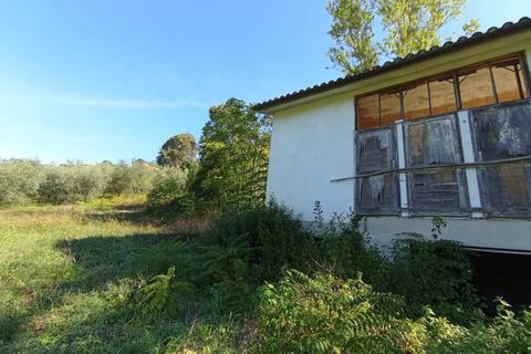 Villa i Terni, Terni, Terni - € 79.000 | Ref: 33 - foto 8