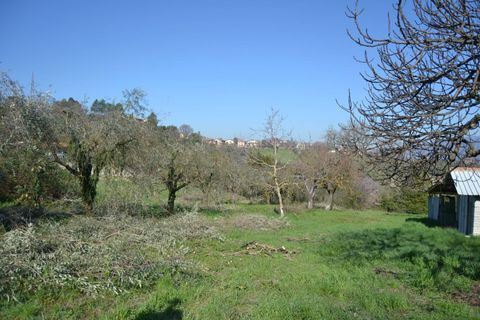 Tomt i Stroncone, Terni, Stroncone - € 59 000 | Ref: 35 - foto 10