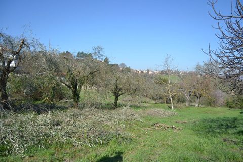 Tomt i Stroncone, Terni, Stroncone - € 59 000 | Ref: 35 - foto 11