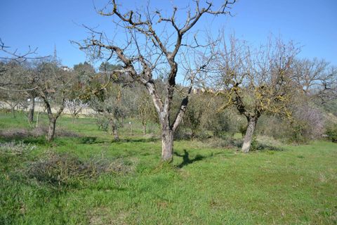 Tomt i Stroncone, Terni, Stroncone - € 59 000 | Ref: 35 - foto 12