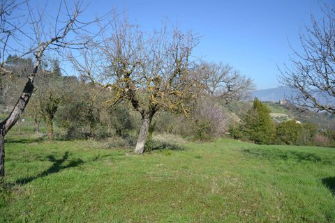 Tomt i Stroncone, Terni, Stroncone - € 59 000 | Ref: 35 - foto 16
