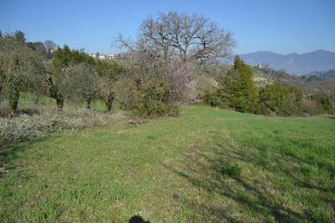 Tomt i Stroncone, Terni, Stroncone - € 59 000 | Ref: 35 - foto 18