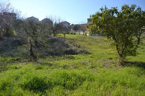 Tomt i Stroncone, Terni, Stroncone - € 59 000 | Ref: 35 - foto 23