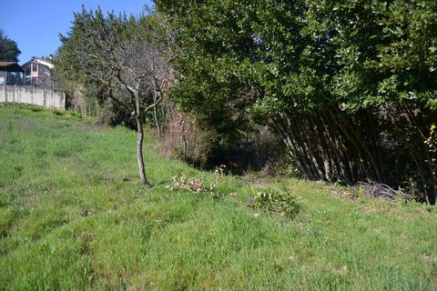 Tomt i Stroncone, Terni, Stroncone - € 59 000 | Ref: 35 - foto 30