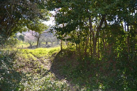 Tomt i Stroncone, Terni, Stroncone - € 59 000 | Ref: 35 - foto 31