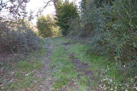 Tomt i Stroncone, Terni, Stroncone - € 59 000 | Ref: 35 - foto 35